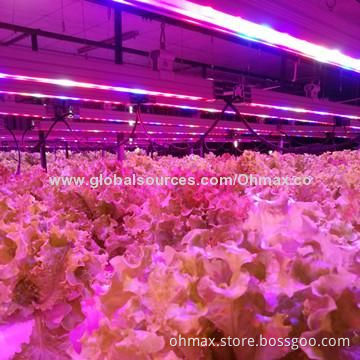 Updated LED Hydroponic Grow Lights, 18W for Lettuce/Cabbage in Indoor Room, Greenhouse